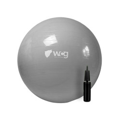 М'яч для фітнесу WCG 75 Anti-Burst 250 кг сірий + насос 