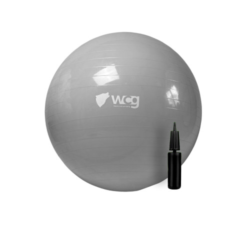 М'яч для фітнесу WCG 75 Anti-Burst 250 кг сірий + насос М'яч для фітнесу WCG 75 Anti-Burst 250 кг сірий + насос