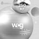 М'яч для фітнесу WCG 75 Anti-Burst 250 кг сірий + насос