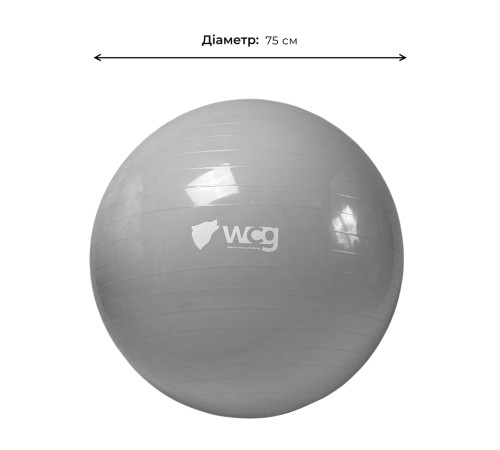 М'яч для фітнесу WCG 75 Anti-Burst 250 кг сірий + насос М'яч для фітнесу WCG 75 Anti-Burst 250 кг сірий + насос