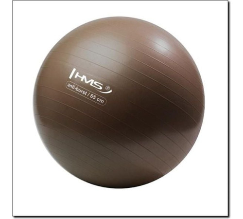 Гімнастичний м'яч HMS Anti Burst 65cm grizzly (YB02) - коричневий