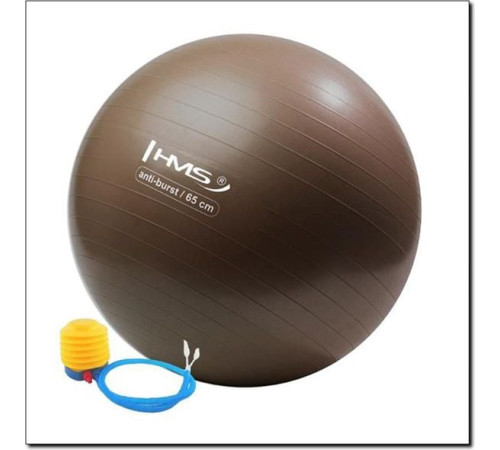 Гімнастичний м'яч HMS Anti Burst 65cm grizzly (YB02) - коричневий