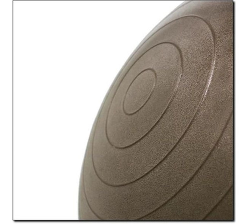 Гімнастичний м'яч HMS Anti Burst 65cm grizzly (YB02) - коричневий