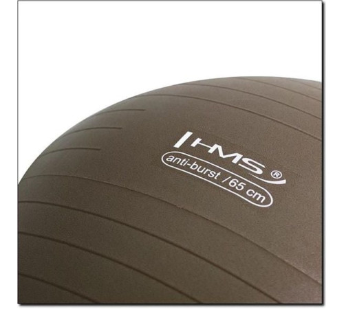 Гімнастичний м'яч HMS Anti Burst 65cm grizzly (YB02) - коричневий