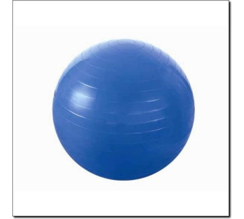 Гімнастичний м'яч HMS YB01 55cm - блакитний