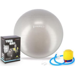 Гімнастичний м'яч HMS YB01 65cm - сірий 