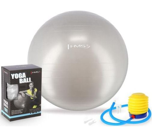 Гімнастичний м'яч HMS YB01 65cm - сірий