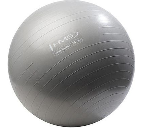 Гімнастичний м'яч HMS YB02 75cm - сірий 2