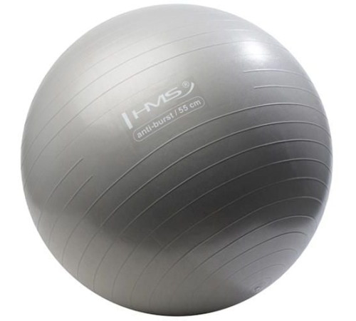 Гімнастичний м'яч HMS YB02 Anti-Burst 55cm (17-42-116) - сірий