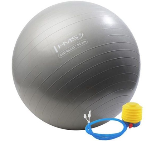 Гімнастичний м'яч HMS YB02 Anti-Burst 55cm (17-42-116) - сірий