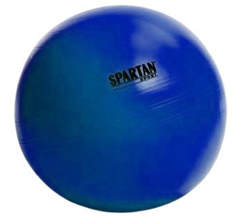 М'яч гімнастичний SPARTAN 55 см Blue М'яч гімнастичний SPARTAN 55 см Blue