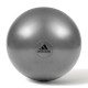 Фітбол Adidas Gymball 55 см, сірий