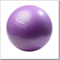 Гімнастичний м'яч HMS Anti-Burst 65cm (YB02) - фіолетовий 