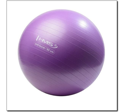 Гімнастичний м'яч HMS Anti-Burst 65cm (YB02) - фіолетовий