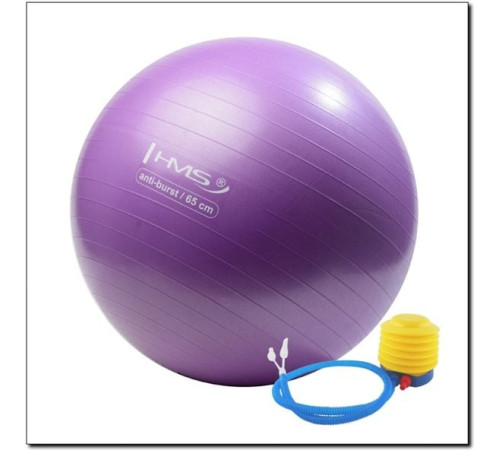 Гімнастичний м'яч HMS Anti-Burst 65cm (YB02) - фіолетовий
