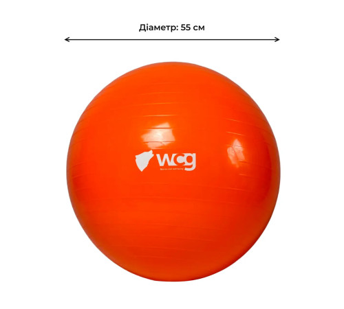 М'яч для фітнесу (фітбол) WCG 55 Anti-Burst 300кг оранжевий + насос М'яч для фітнесу (фітбол) WCG 55 Anti-Burst 300кг оранжевий + насос