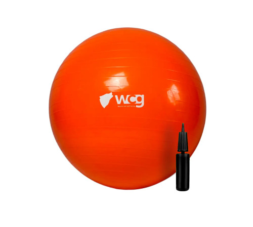М'яч для фітнесу (фітбол) WCG 55 Anti-Burst 300кг оранжевий + насос М'яч для фітнесу (фітбол) WCG 55 Anti-Burst 300кг оранжевий + насос