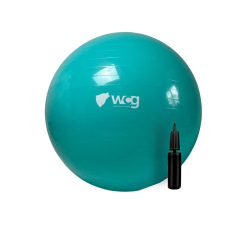 М'яч для фітнесу (фітбол) WCG 65 Anti-Burst 300кг бірюзовий + насос М'яч для фітнесу (фітбол) WCG 65 Anti-Burst 300кг бірюзовий + насос