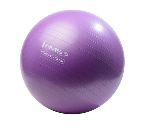 Гімнастичний м'яч HMS YB02 Anti-burst 65 см, фіолетовий