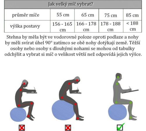 М'яч Movit гімнастичний з насосом, 85 см, фіолетовий