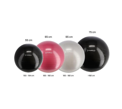 Гімнастичний м'яч HMS YB01, чорний