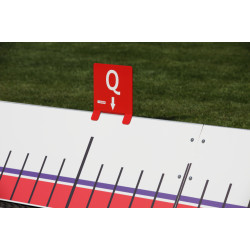 Мітка рекорду 