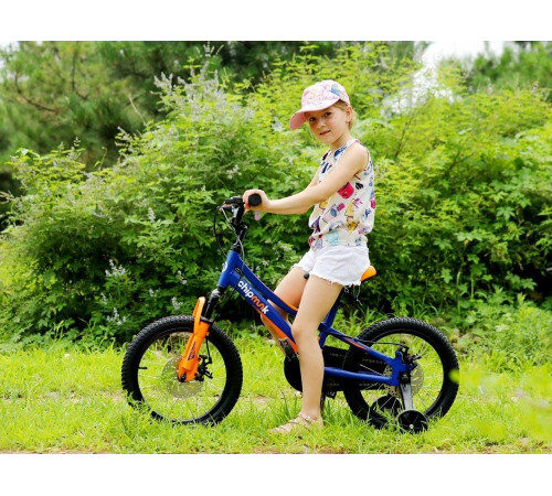 Дитячий велосипед Royalbaby Explorer 16 (CM16-3) темно-зелений Дитячий велосипед Royalbaby Explorer 16 (CM16-3) темно-зелений