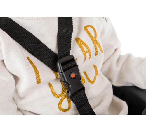 Дитяче велокрісло SANBAS під сідло - 26-28" - темно-сіре