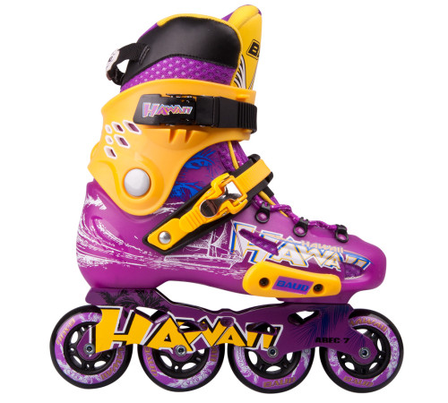 Роликові ковзани Baud BD276