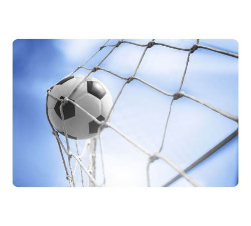 Сітка для воріт Neo‑Sport NS-1471 300 х 200 х 120 см, біла