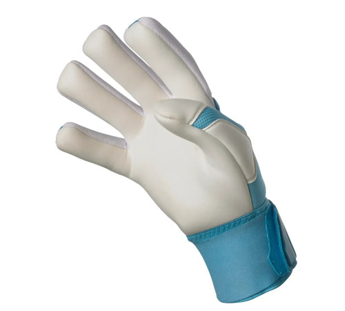 Рукавички воротарські Select Goalkeeper Gloves 33 Allround розмір 8,5 (18.5см), біло-блакитний