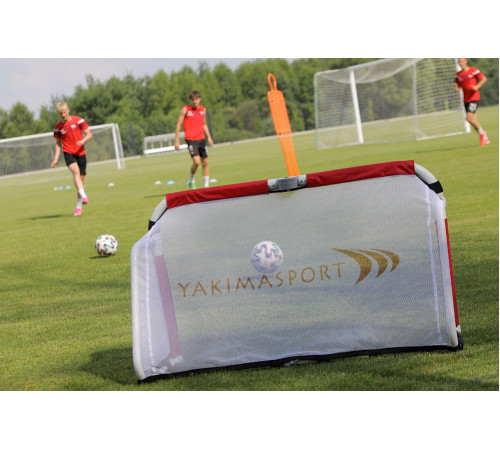 Ворота футбольні Yakimasport ACADEMY 120 х 80 см, червоно-білі