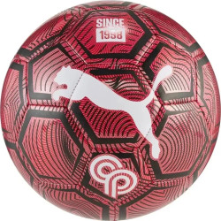 М'яч тренувальний Puma CP Never Stop Graphic ball розмір4, червоно-чорний