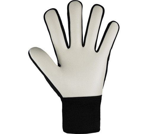 Рукавички воротарські Reusch Attrakt Starter Solid 5470514 7700 р.9,5, чорні