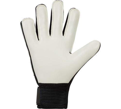 Рукавички воротарські Nike MATCH JUNIOR FJ4864-011 р. 6, чорно-білі