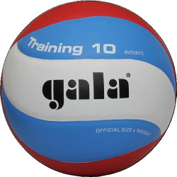 М'яч волейбольний Gala Training 10, розмір 5