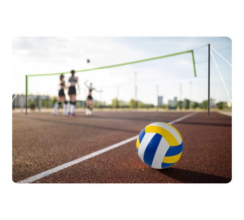 Сітка та рамка для волейболу та бадмінтону 570 см