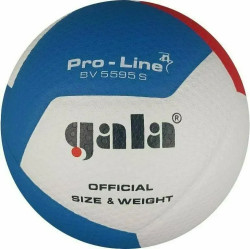 М'яч волейбольний Gala Pro-Line 12 FIVB розмір 5, різнокольоровий