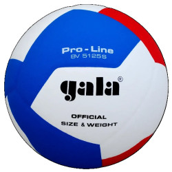 М'яч волейбольний Gala Pro-Line, розмір 5