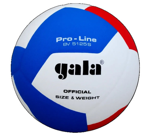 М'яч волейбольний Gala Pro-Line, розмір 5