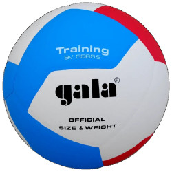 М'яч волейбольний Gala Training розмір 5, різнокольоровий