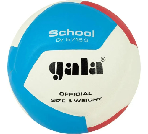М'яч волейбольний Gala School 12 BV5715S, розмір 5
