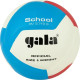 М'яч волейбольний Gala School 12 BV5715S, розмір 5