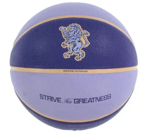 М'яч баскетбольний Nike ALL COURT 8P 2.0 L JAMES DEFLATED розмір 7