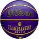М'яч баскетбольний Wilson NBA PLAYER ICON OUTDOOR BSKT LEBRON NE розмір 7