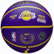 М'яч баскетбольний Wilson NBA PLAYER ICON OUTDOOR BSKT LEBRON NE розмір 7