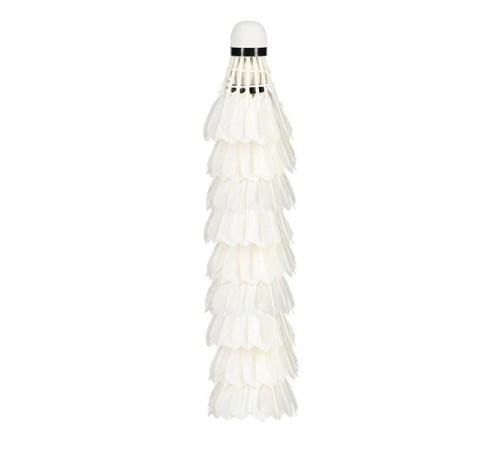 S505-12 FEATHER SHUTTLECOOCKS WHITE PACK. 12 PCS WISH S505-12 FEATHER SHUTTLECOOCKS WHITE PACK. 12 PCS WISH