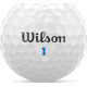 М'ячі для гольфу Wilson Tour Velocity Accuracy 15 шт, білі