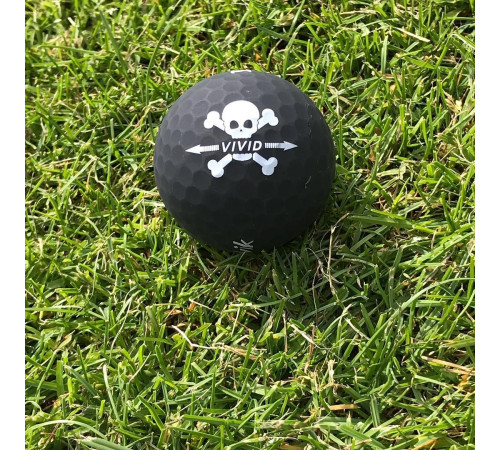 М'ячі для гольфу Volvik Skull 4 шт, чорно-білі