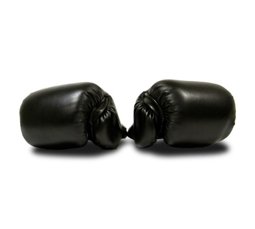 Рукавички боксерські MASTER розмір 14 унцій, чорні